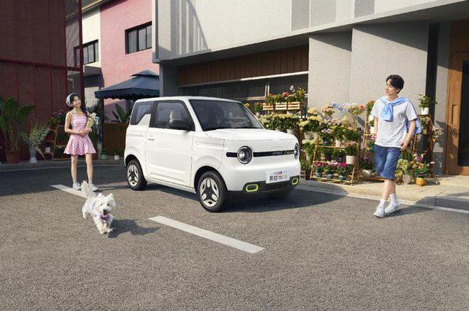 元气熊官图发布 4月15日上市吉利银河2025款熊猫mini(图6)